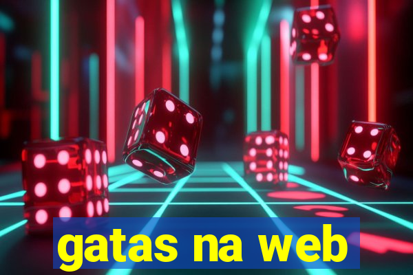 gatas na web